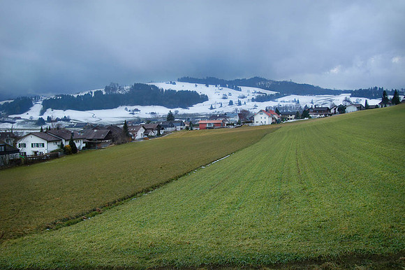 Swiss Farm 2