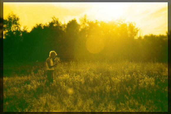 Flowered Feild-new