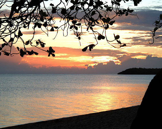 Sunrise 545